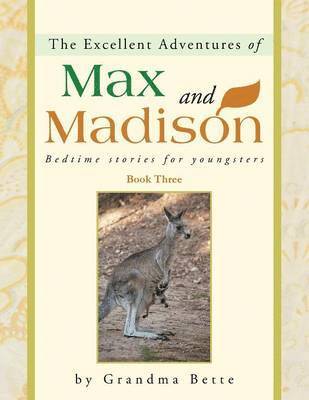 bokomslag The Excellent Adventures of Max and Madison