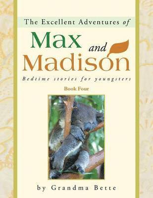 bokomslag The Excellent Adventures of Max and Madison