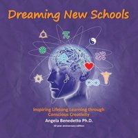 bokomslag Dreaming New Schools