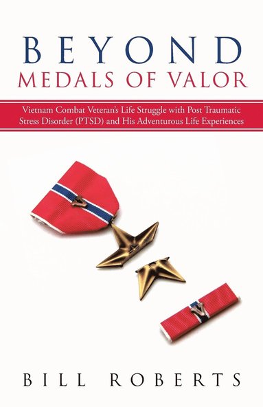 bokomslag Beyond Medals of Valor