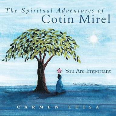 bokomslag The Spiritual Adventures of Cotin Mirel