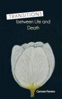 bokomslag Transitions Between Life and Death