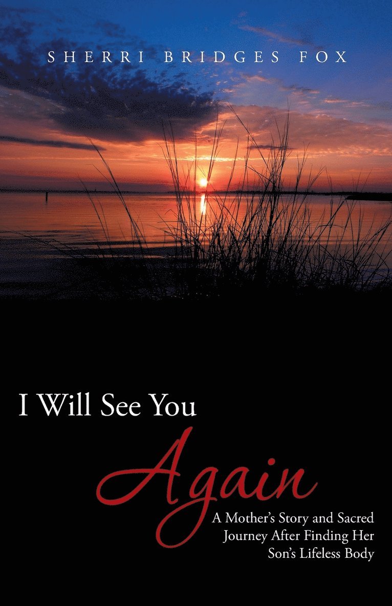 Sherri Bridges Fox - I Will See You Again, Häftad