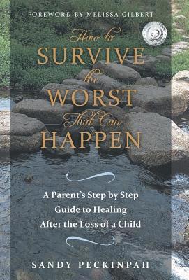 bokomslag How to Survive the Worst That Can Happen