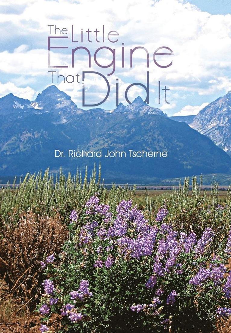 Richard John Tscherne, Dr Richard John Tscherne - Little Engine That Did It, Inbunden