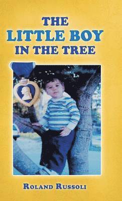 bokomslag The Little Boy in the Tree