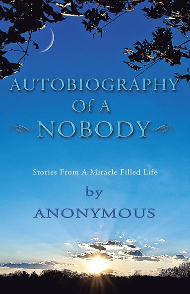 bokomslag Autobiography of a Nobody