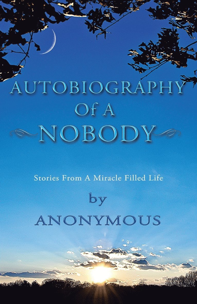 Autobiography of a Nobody 1