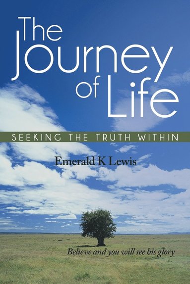 bokomslag Journey of Life