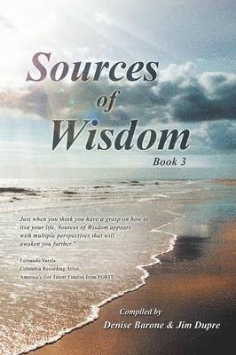 bokomslag Sources of Wisdom