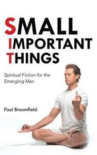 bokomslag Small Important Things