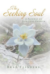 bokomslag Seeking Soul