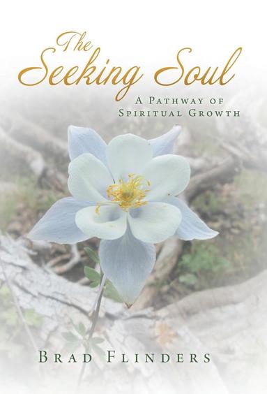 bokomslag Seeking Soul