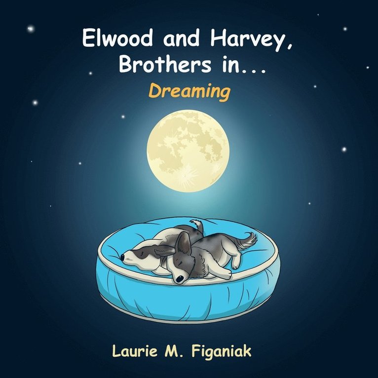 Elwood and Harvey, Brothers In... 1