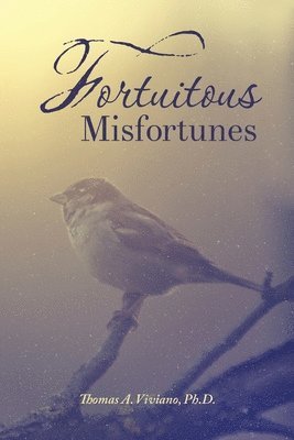 bokomslag Fortuitous Misfortunes