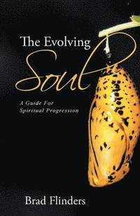 bokomslag Evolving Soul