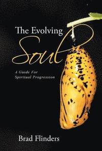 bokomslag Evolving Soul