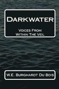 bokomslag Darkwater: Voices From Within The Veil