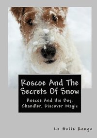 bokomslag Roscoe And The Secrets Of Snow