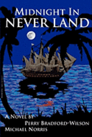 bokomslag Midnight In Never Land