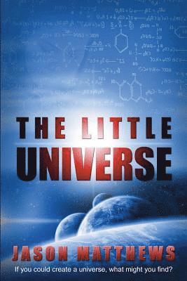 bokomslag The Little Universe