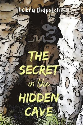 The Secret in the Hidden Cave 1