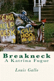 bokomslag Breakneck: A Katrina Fugue