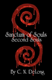 bokomslag Sanctum of Souls: Second Souls