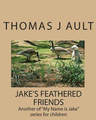 bokomslag Jake's Feathered Friends: Another of "My Name is Jake" series for children