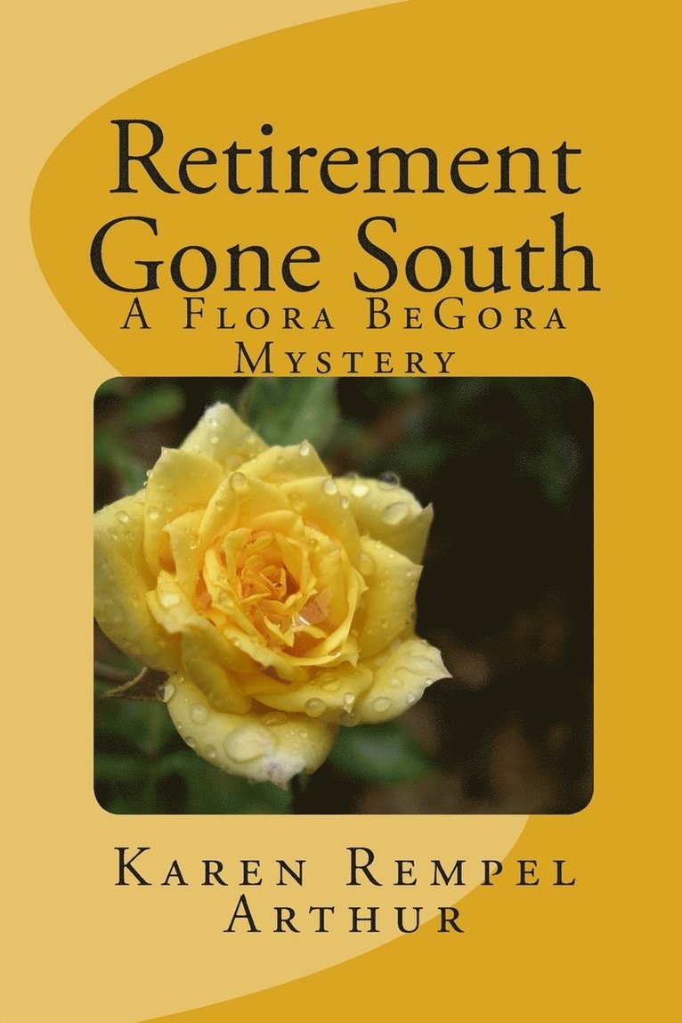 Karen Rempel Arthur - Retirement Gone South, Häftad