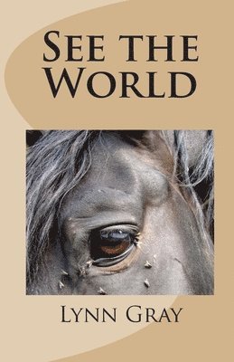 See the World