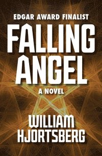 bokomslag Falling Angel