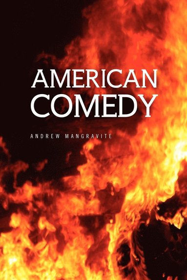 bokomslag American Comedy