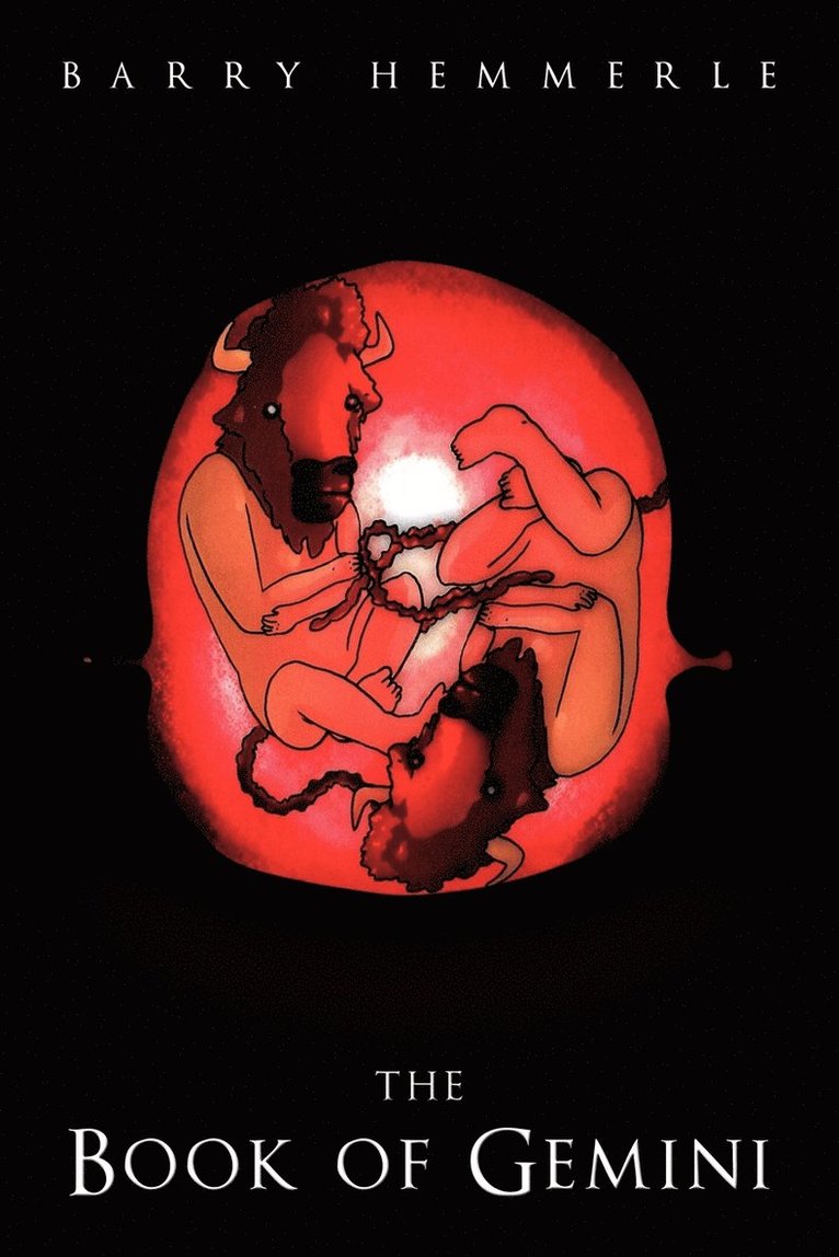 Barry Hemmerle - Book of Gemini, Häftad
