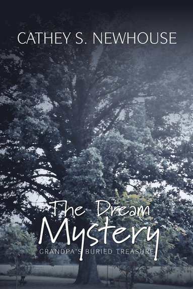bokomslag Dream Mystery