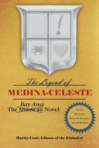 bokomslag Bay Area Novel