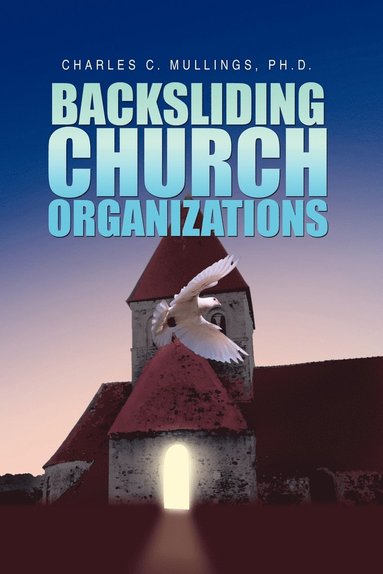 bokomslag Backsliding Church Organizations