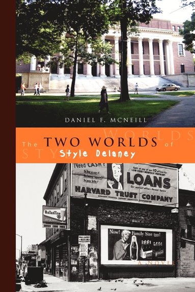 bokomslag Two Worlds of Style Delaney