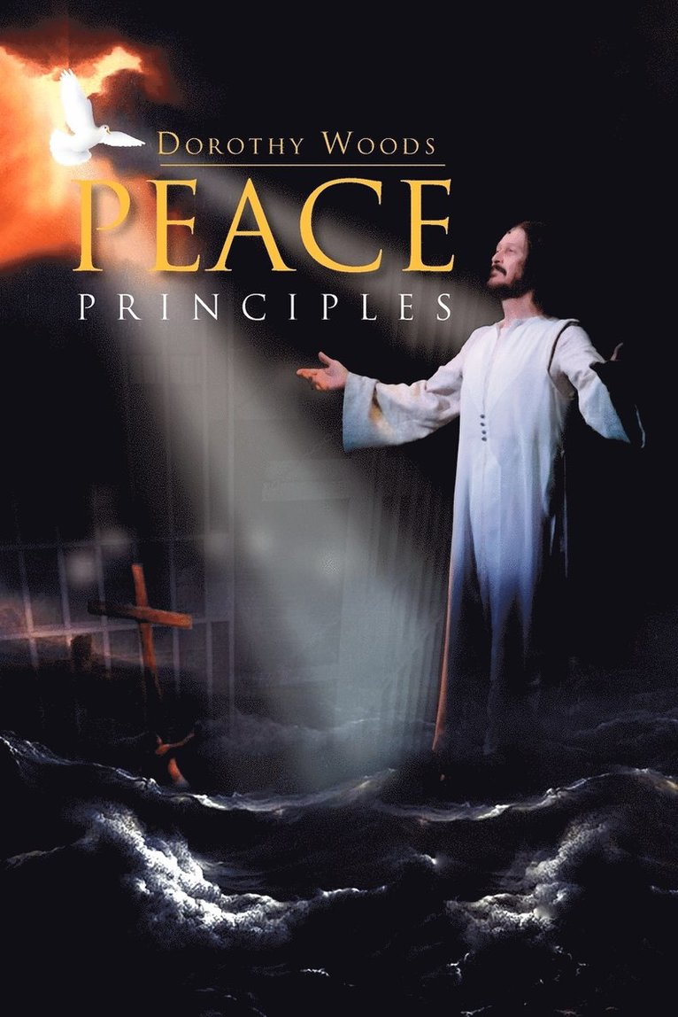 Peace Principles 1