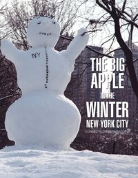 bokomslag Big Apple In The Winter