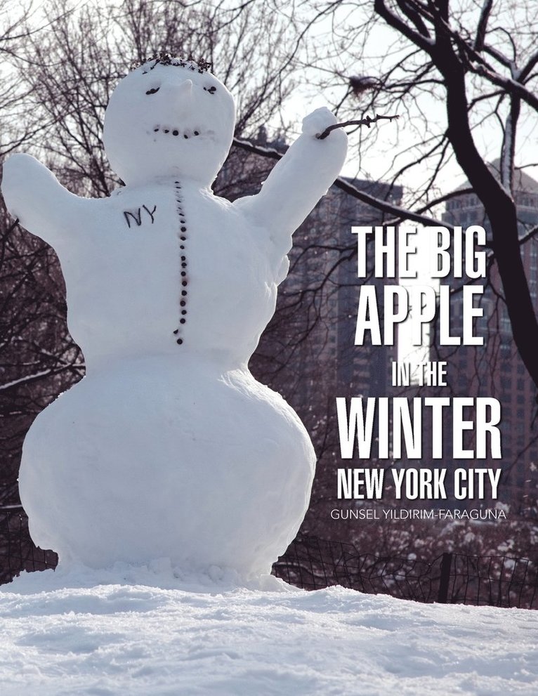 Big Apple In The Winter 1