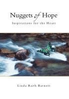 bokomslag Nuggets of Hope