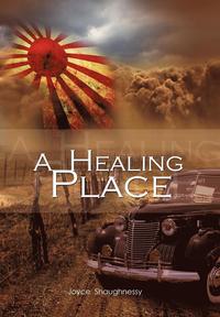 bokomslag A Healing Place