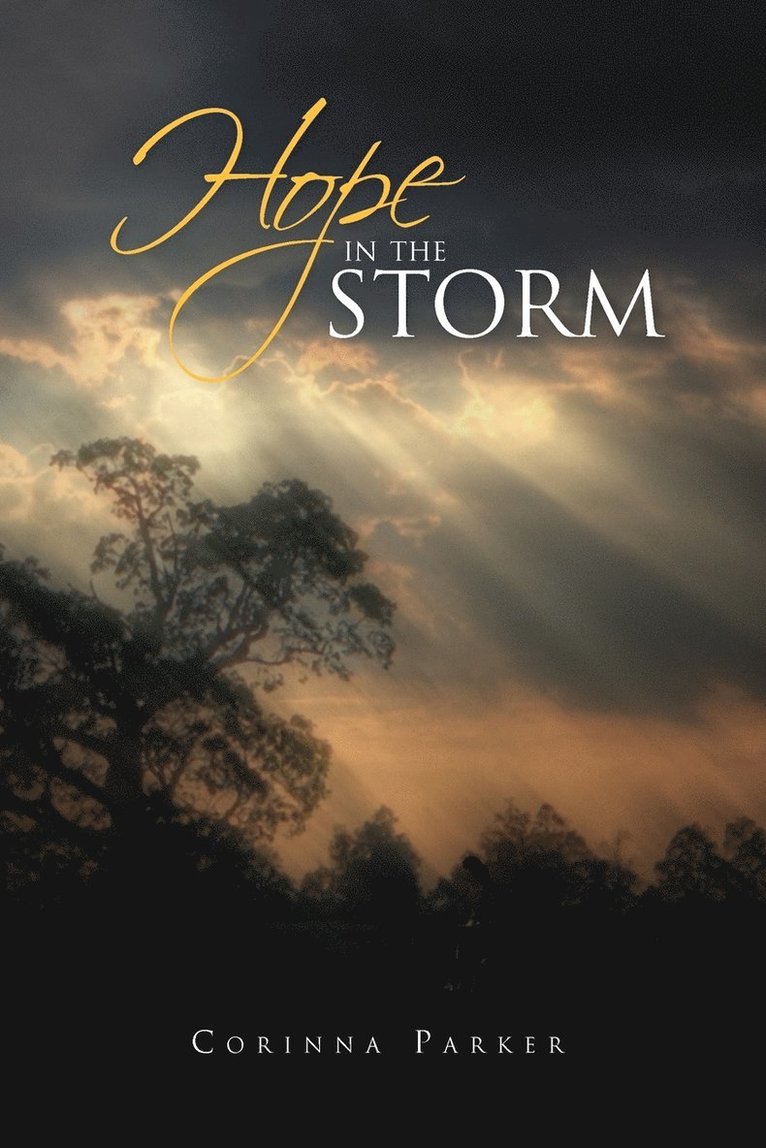 Hope in the Storm 1