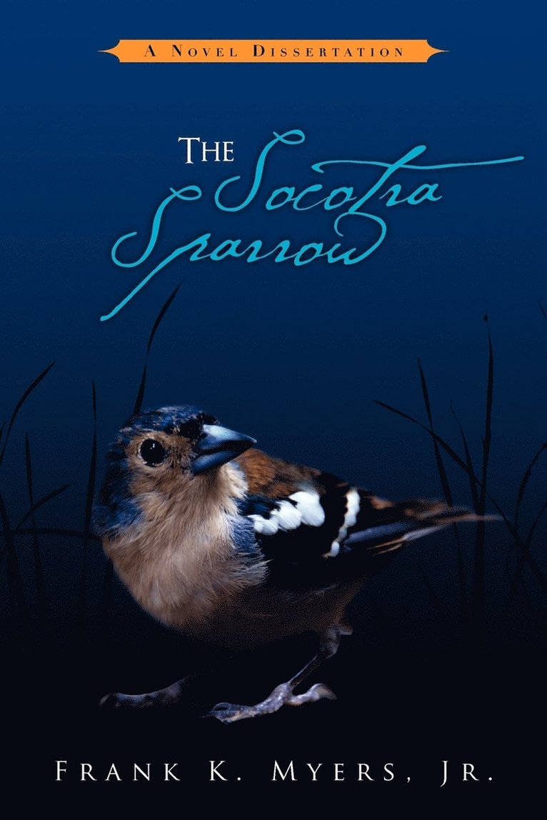 The Socotra Sparrow 1