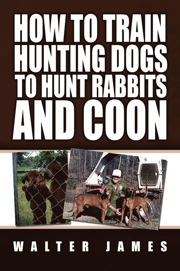 How to Train Hunting Dogs to Hunt Rabbits and Coon 1