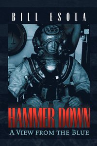 bokomslag Hammer Down