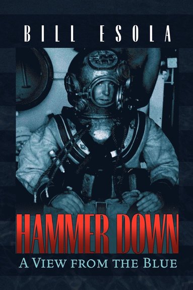 bokomslag Hammer Down