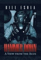 bokomslag Hammer Down