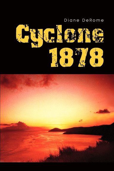 bokomslag Cyclone 1878